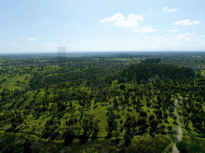 Terreno para Venda em Grândola e Santa Margarida da Serra Foto 9