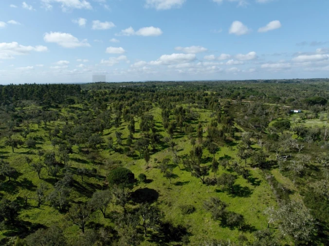 Terreno para Venda em Grândola e Santa Margarida da Serra Foto 10