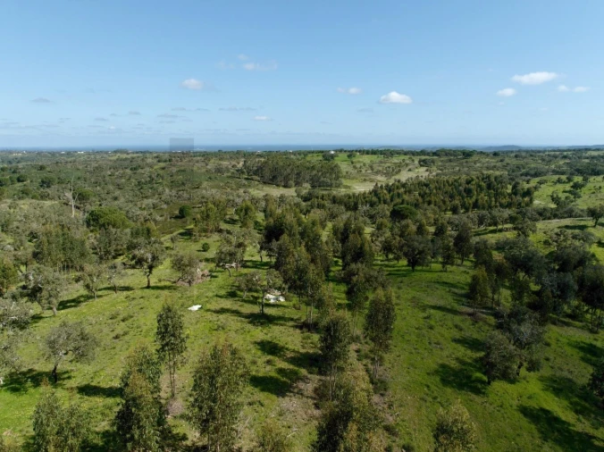 Terreno para Venda em Grândola e Santa Margarida da Serra Foto 15