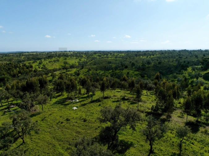 Terreno para Venda em Grândola e Santa Margarida da Serra Foto 16