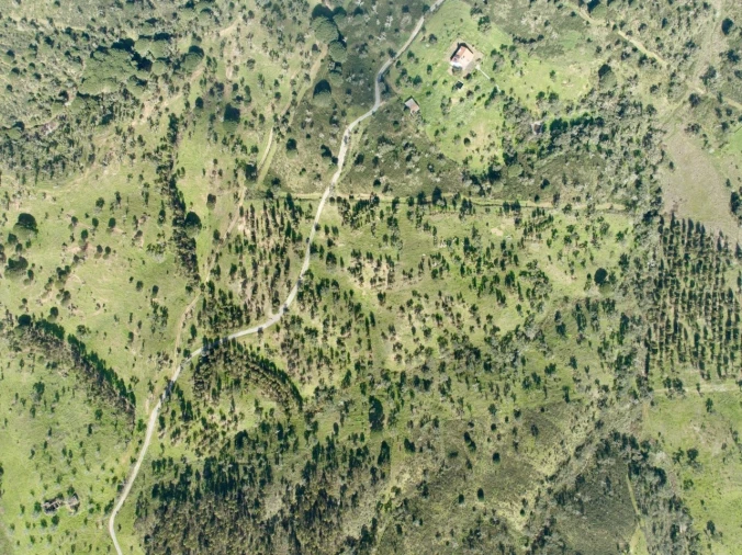 Terreno para Venda em Grândola e Santa Margarida da Serra Foto 19