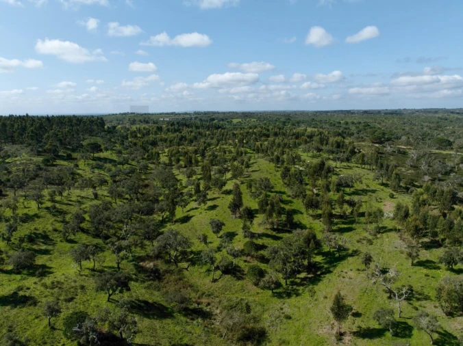 Terreno para Venda em Grândola e Santa Margarida da Serra Foto 20