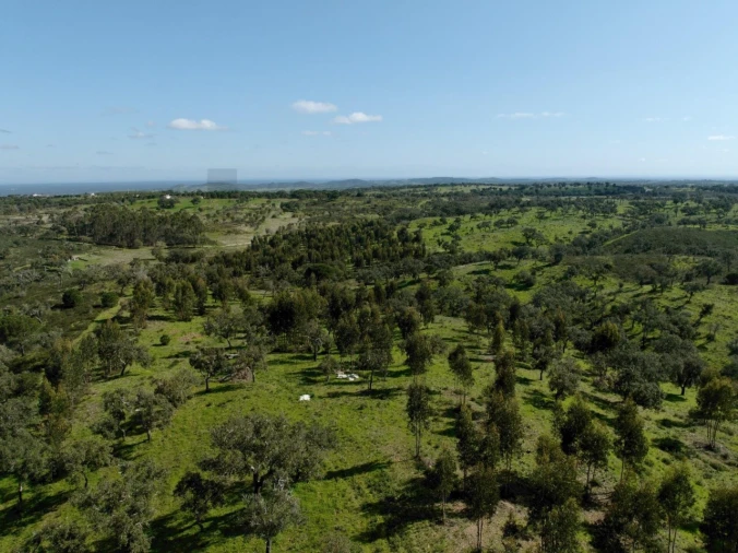 Terreno para Venda em Grândola e Santa Margarida da Serra Foto 22