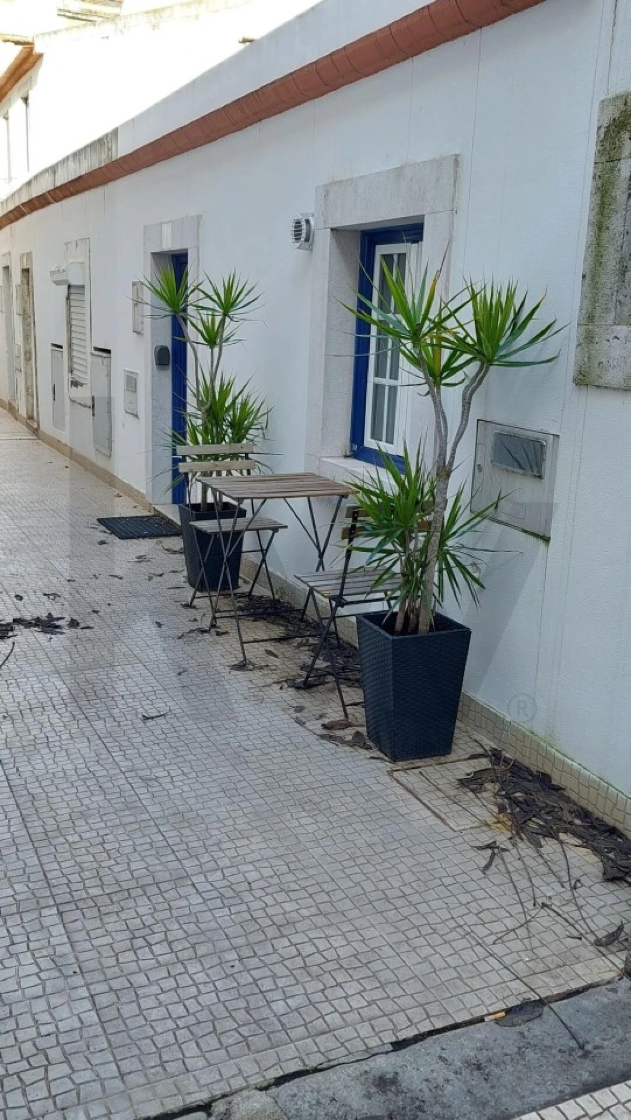 Apartamento para Venda em Estrela Foto 10