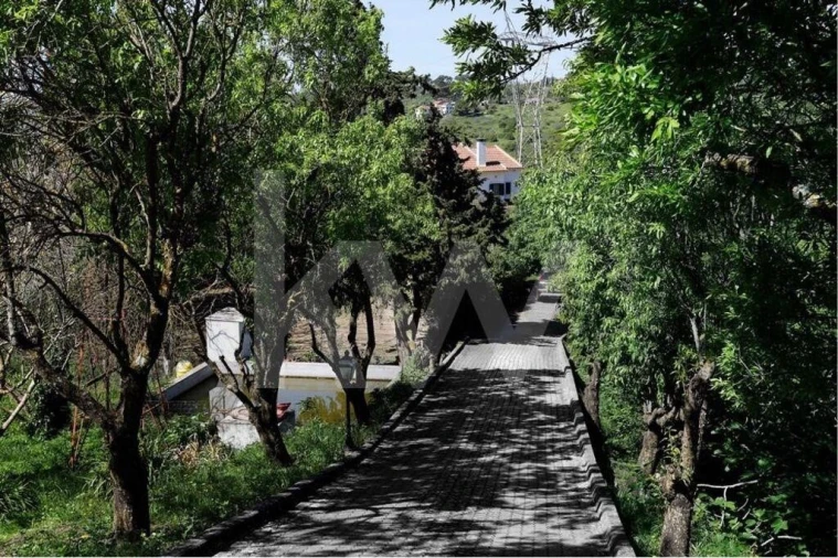 Moradia T5 para Venda em Vila Franca de Xira Foto 2