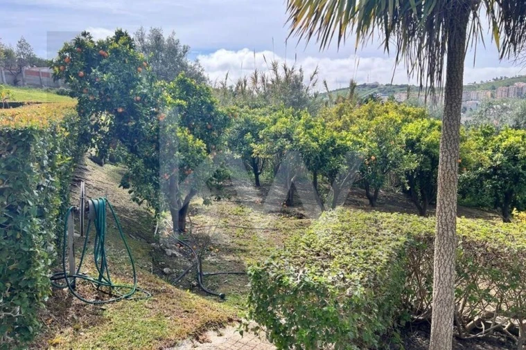 Moradia T5 para Venda em Vila Franca de Xira Foto 23