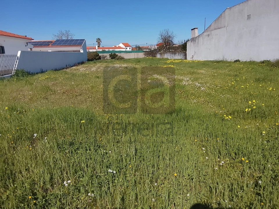 Terreno para Venda em Alpiarça Foto 8