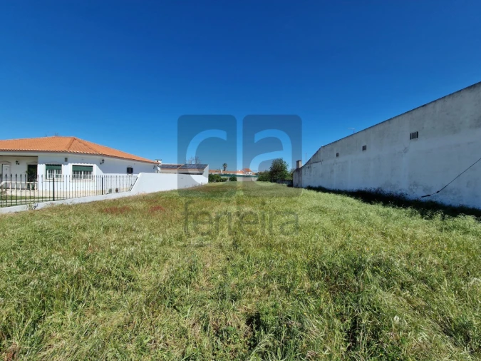 Terreno para Venda em Alpiarça Foto 3