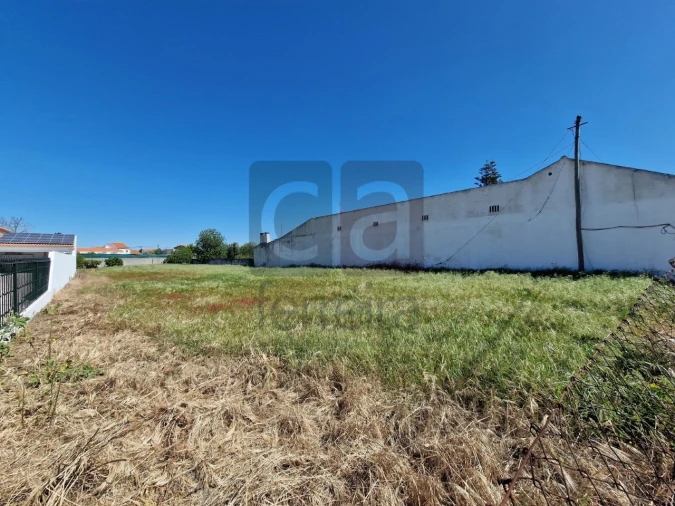 Terreno para Venda em Alpiarça Foto 5