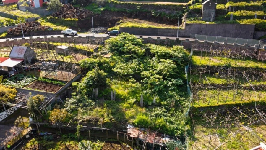 Terreno para Venda em São Vicente Foto 7