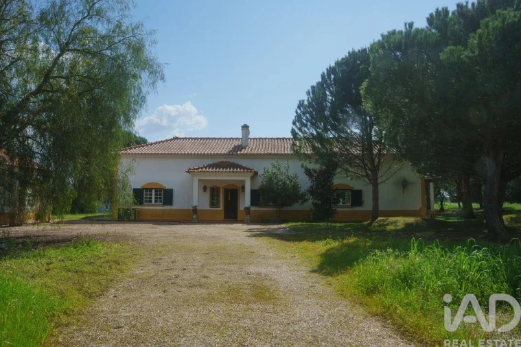 Moradia T3 para Venda em Biscainho Foto 6