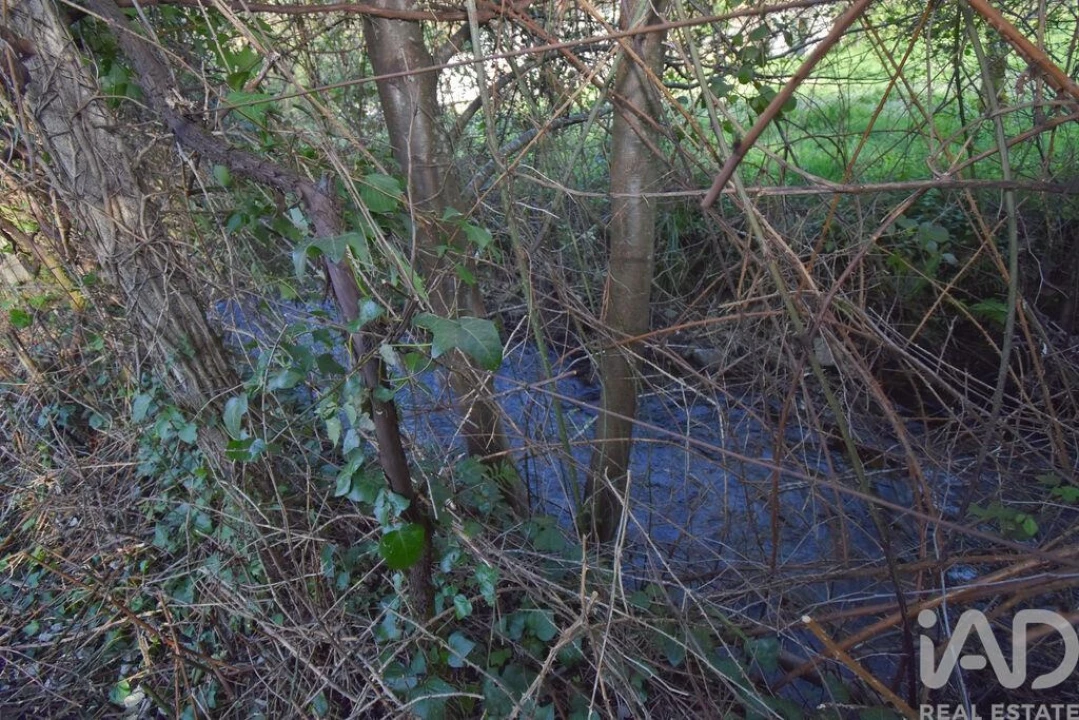Terreno para Venda em São Miguel, Santa Eufémia e Rabaçal Foto 21