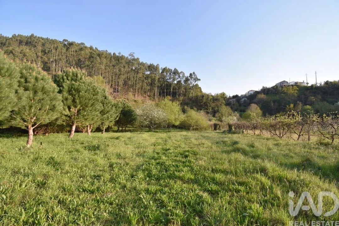 Terreno para Venda em São Miguel, Santa Eufémia e Rabaçal Foto 24