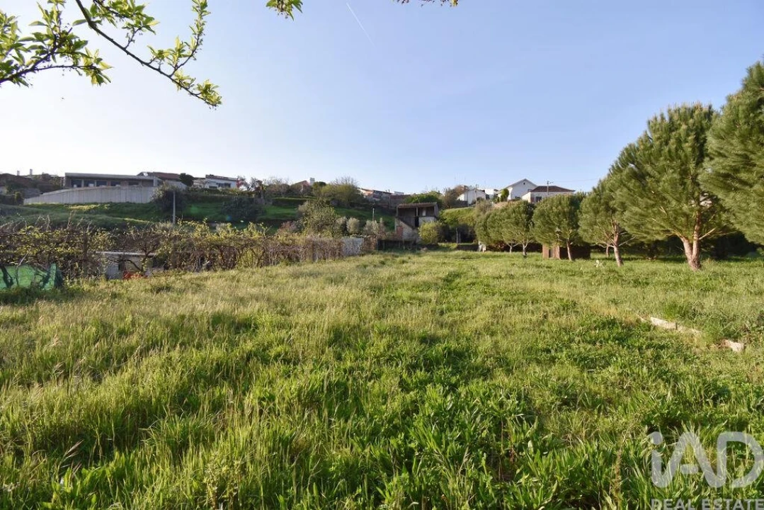 Terreno para Venda em São Miguel, Santa Eufémia e Rabaçal Foto 23