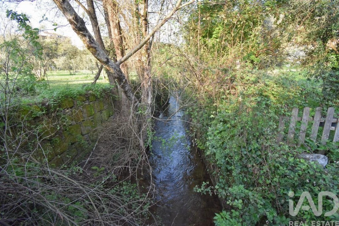 Terreno para Venda em São Miguel, Santa Eufémia e Rabaçal Foto 27