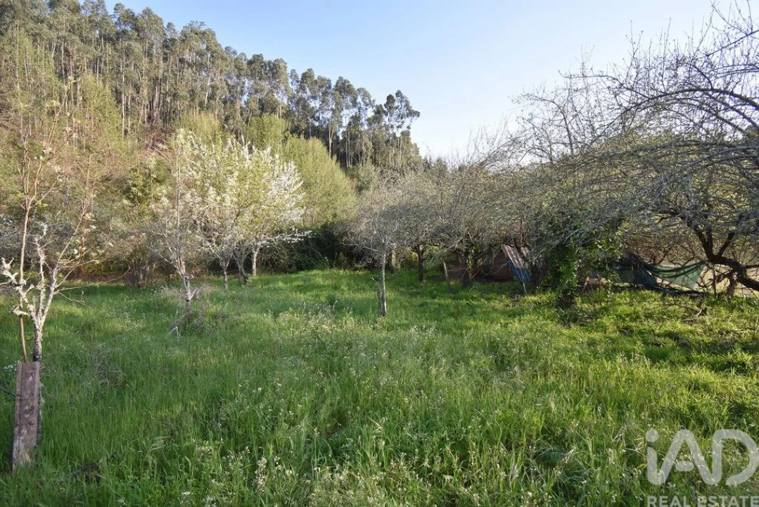 Terreno para Venda em São Miguel, Santa Eufémia e Rabaçal Foto 19