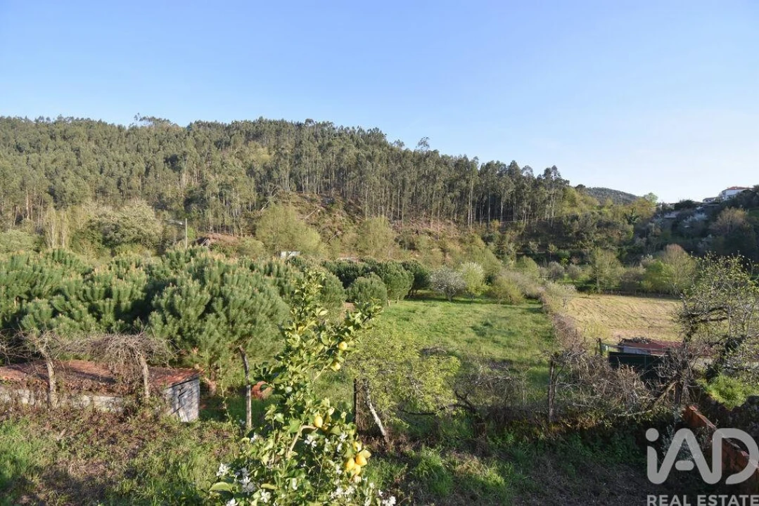Terreno para Venda em São Miguel, Santa Eufémia e Rabaçal Foto 12