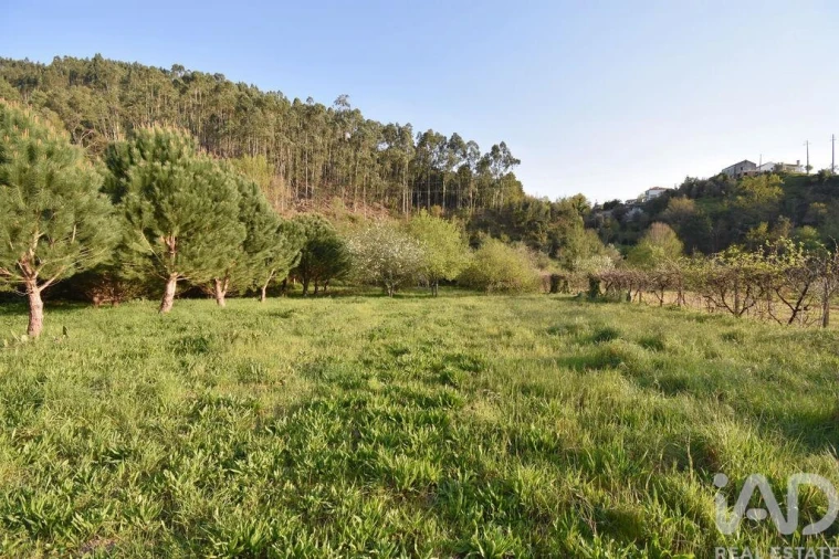 Terreno para Venda em São Miguel, Santa Eufémia e Rabaçal Foto 17