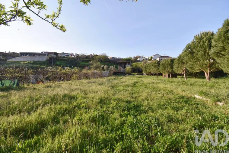 Terreno para Venda em São Miguel, Santa Eufémia e Rabaçal Foto 23