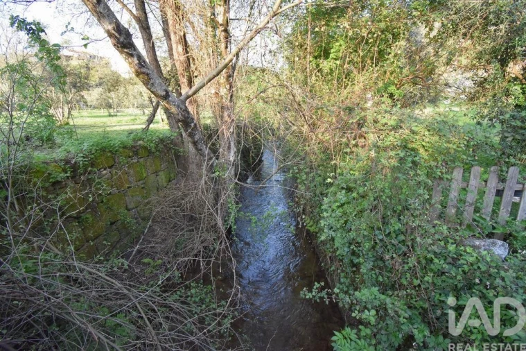 Terreno para Venda em São Miguel, Santa Eufémia e Rabaçal Foto 27
