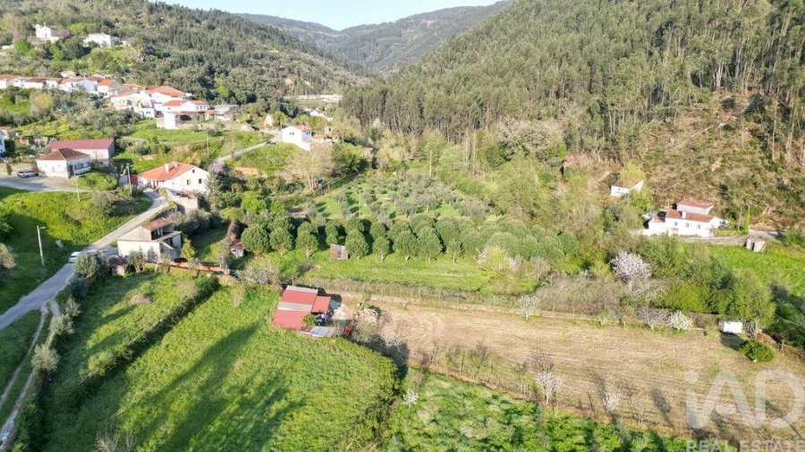 Terreno para Venda em São Miguel, Santa Eufémia e Rabaçal Foto 7