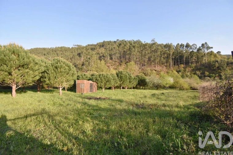 Terreno para Venda em São Miguel, Santa Eufémia e Rabaçal Foto 15