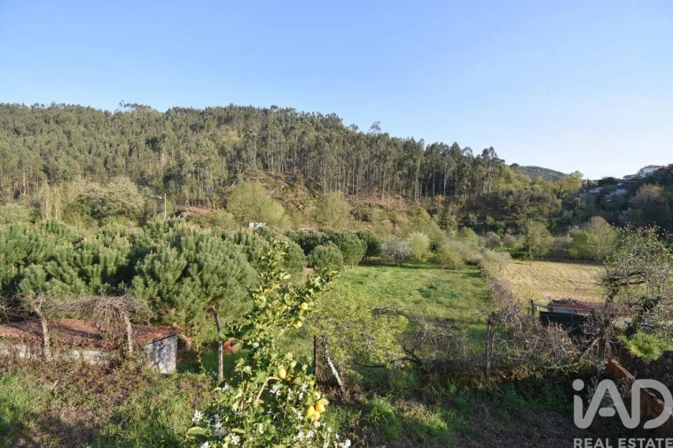 Terreno para Venda em São Miguel, Santa Eufémia e Rabaçal Foto 12