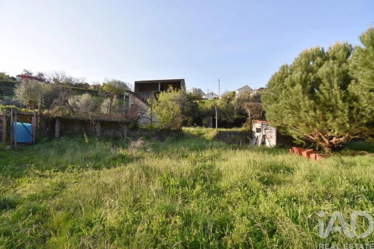 Terreno para Venda em São Miguel, Santa Eufémia e Rabaçal Foto 16