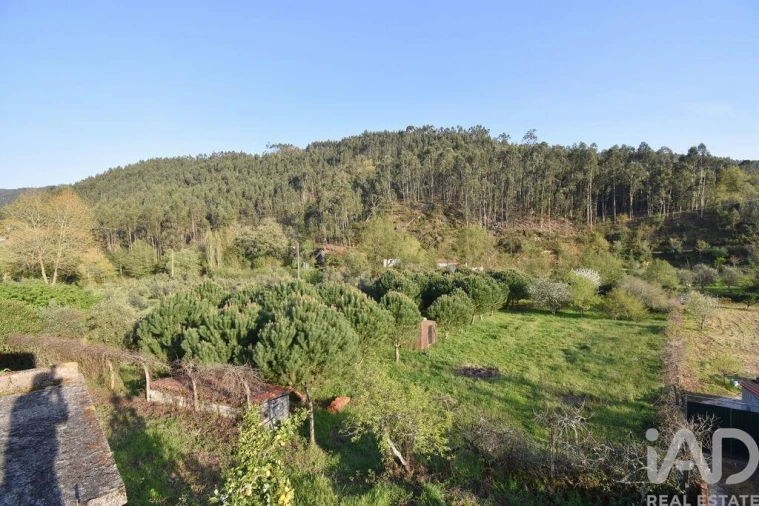 Terreno para Venda em São Miguel, Santa Eufémia e Rabaçal Foto 13