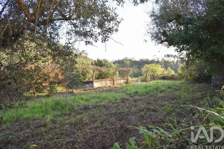 Terreno para Venda em São Miguel, Santa Eufémia e Rabaçal Foto 25