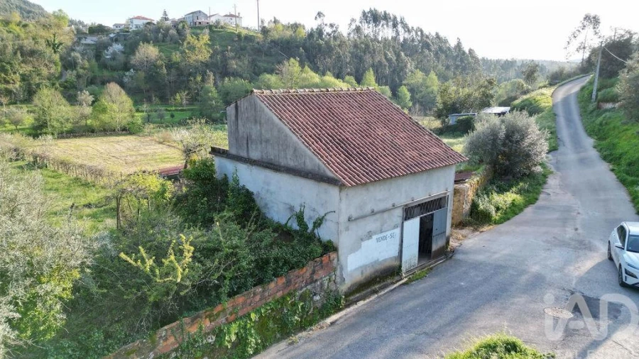 Terreno para Venda em São Miguel, Santa Eufémia e Rabaçal Foto 3