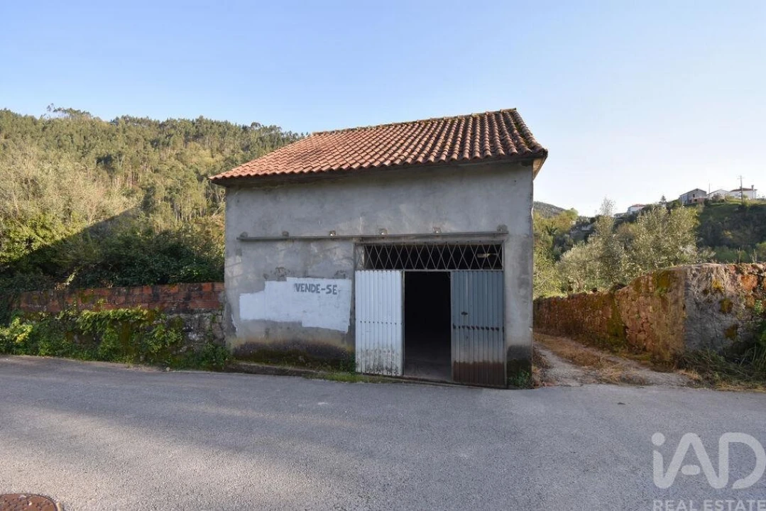 Terreno para Venda em São Miguel, Santa Eufémia e Rabaçal Foto 9
