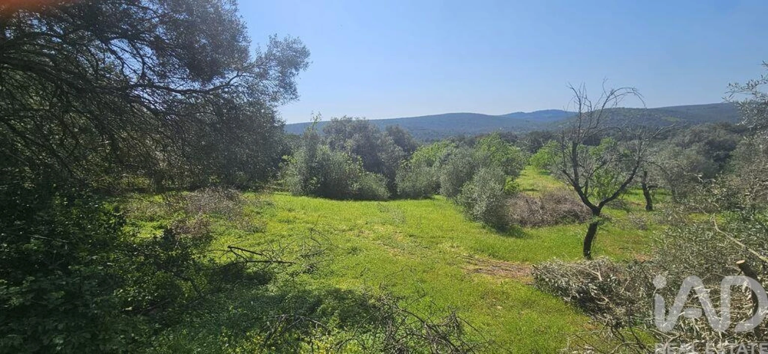 Terreno para Venda em Querença, Tôr e Benafim Foto 13