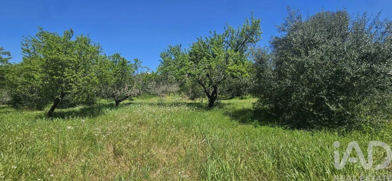 Terreno para Venda em Querença, Tôr e Benafim Foto 10