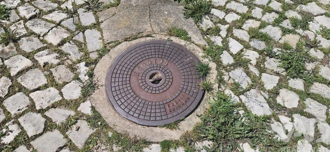 Terreno para Venda em Querença, Tôr e Benafim Foto 4