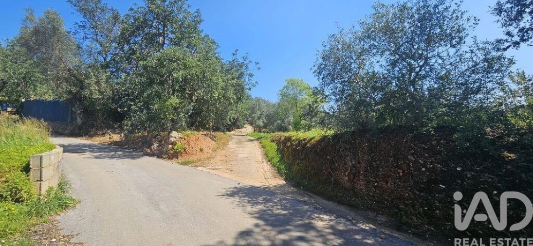 Terreno para Venda em Querença, Tôr e Benafim Foto 7