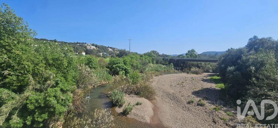 Terreno para Venda em Querença, Tôr e Benafim Foto 16