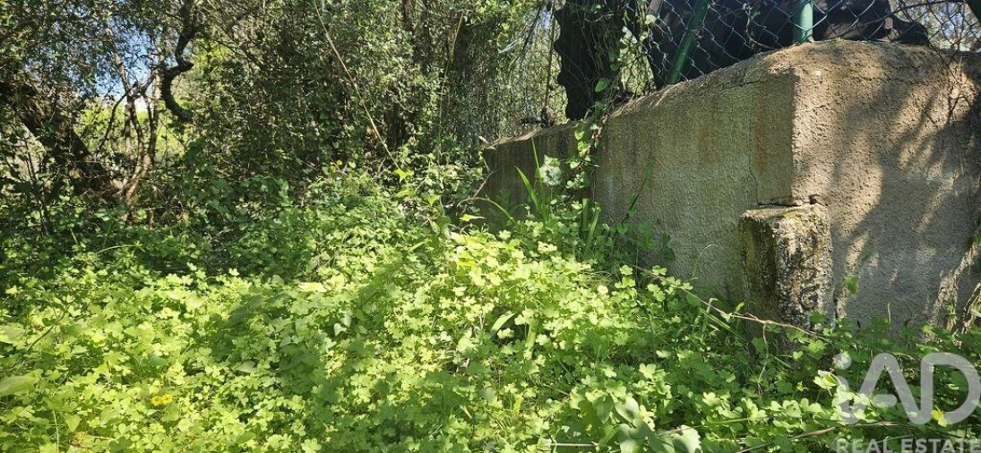 Terreno para Venda em Querença, Tôr e Benafim Foto 11