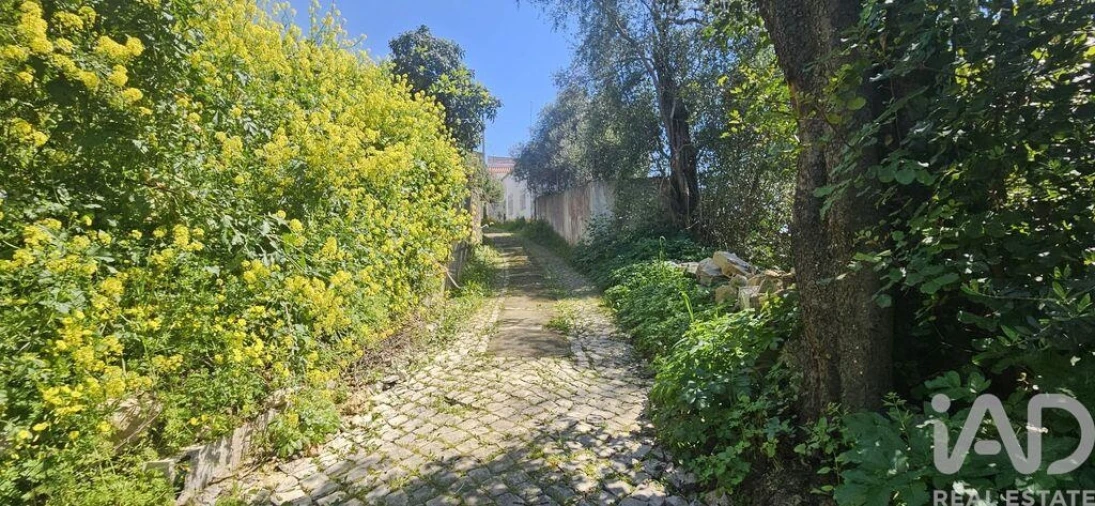 Terreno para Venda em Querença, Tôr e Benafim Foto 6