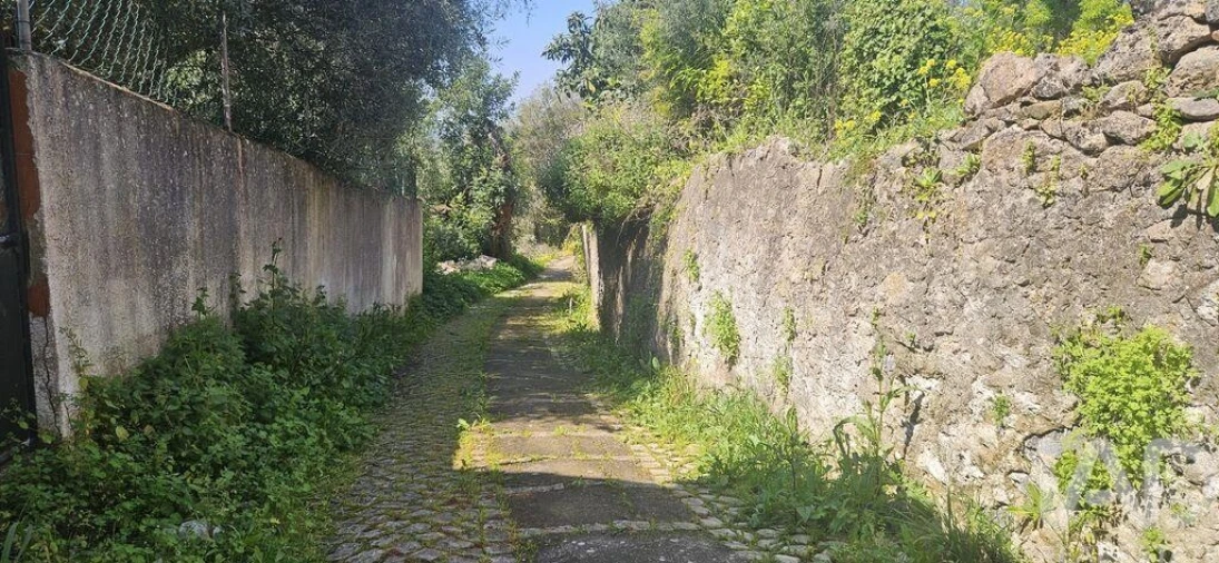 Terreno para Venda em Querença, Tôr e Benafim Foto 14