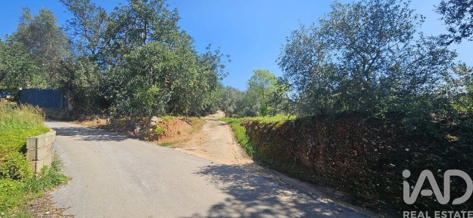 Terreno para Venda em Querença, Tôr e Benafim Foto 7