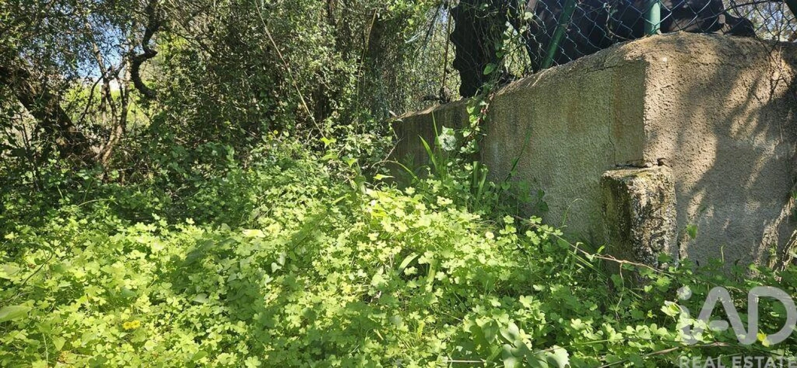 Terreno para Venda em Querença, Tôr e Benafim Foto 11