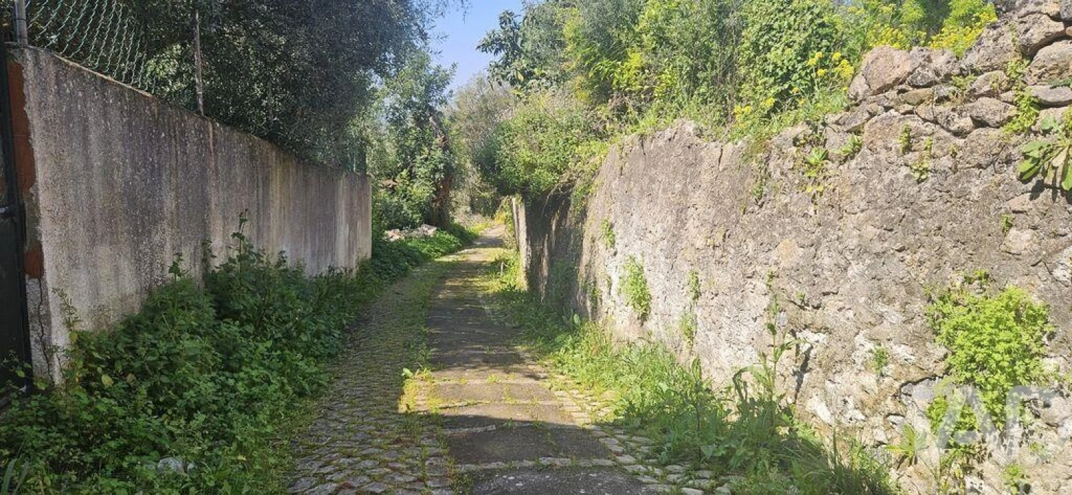 Terreno para Venda em Querença, Tôr e Benafim Foto 14