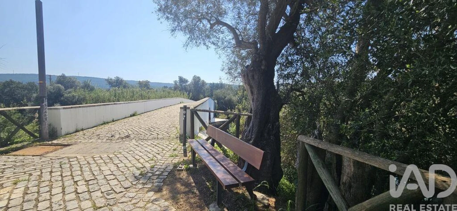 Terreno para Venda em Querença, Tôr e Benafim Foto 18