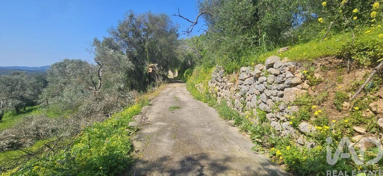 Terreno para Venda em Querença, Tôr e Benafim Foto 9