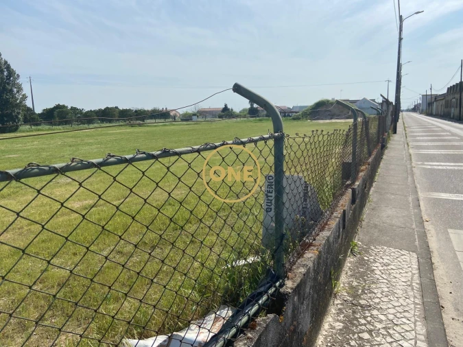 Terreno para Venda em Marinhais Foto 3