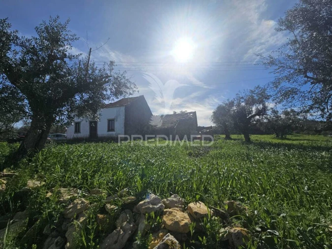 Moradia T2 para Venda em Chãos Foto 2