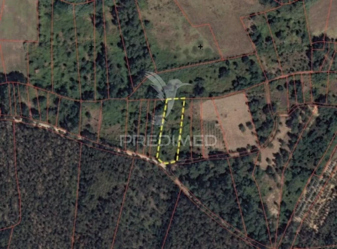 Terreno para Venda em Arneiro das Milhariças Foto 1