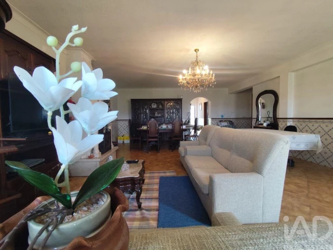 Moradia T4 para Venda em Lamas e Cercal Foto 4