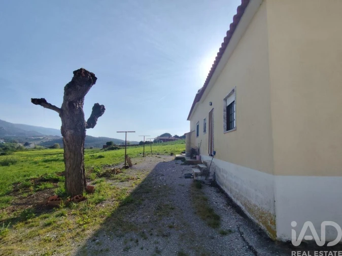 Moradia T4 para Venda em Lamas e Cercal Foto 39